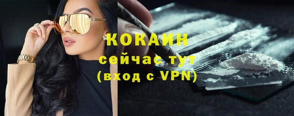 эйфоретик Бородино